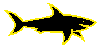 [ Mini Shark ]